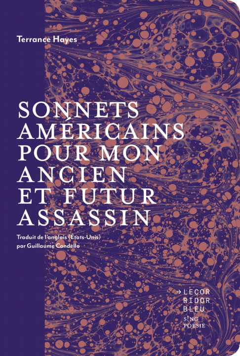 Buch SONNETS AMERICAINS POUR MON ANCIEN ET FUTUR ASSASSIN HAYES TERRANCE