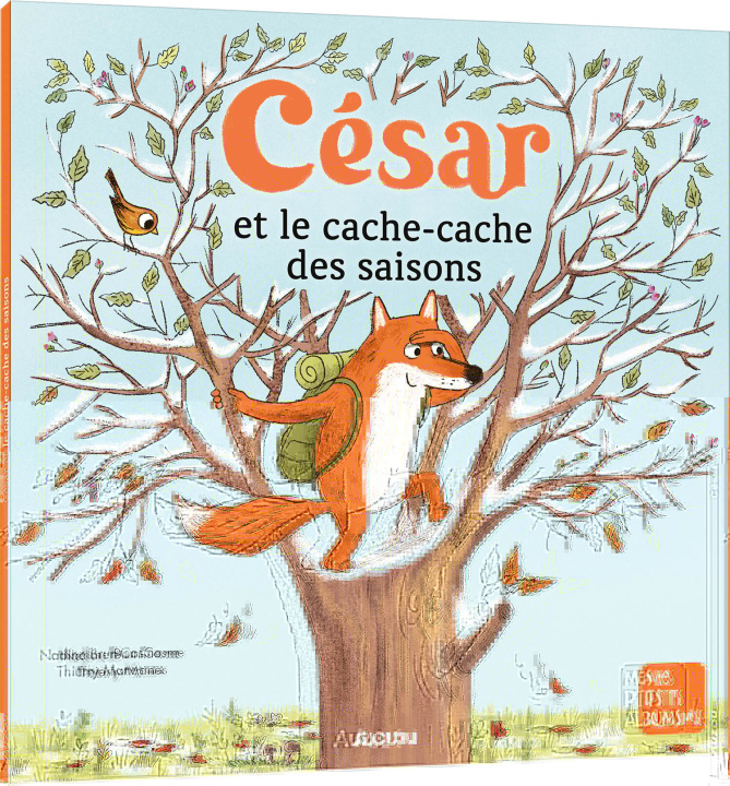 Knjiga CÉSAR ET LE CACHE-CACHE DES SAISONS Nadine Brun-Cosme