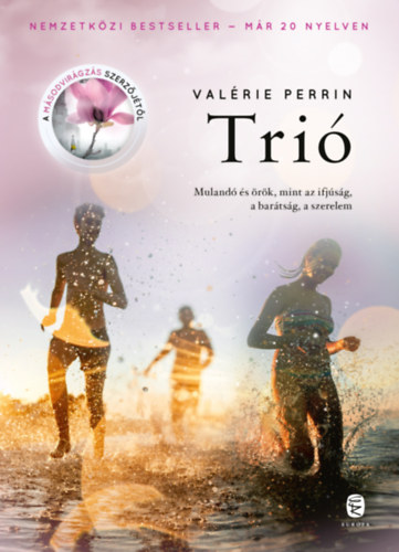 Kniha Trió Valérie Perrin