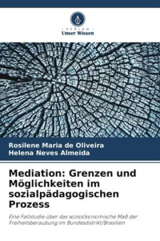 Knjiga Mediation: Grenzen und Möglichkeiten im sozialpädagogischen Prozess Helena Neves Almeida