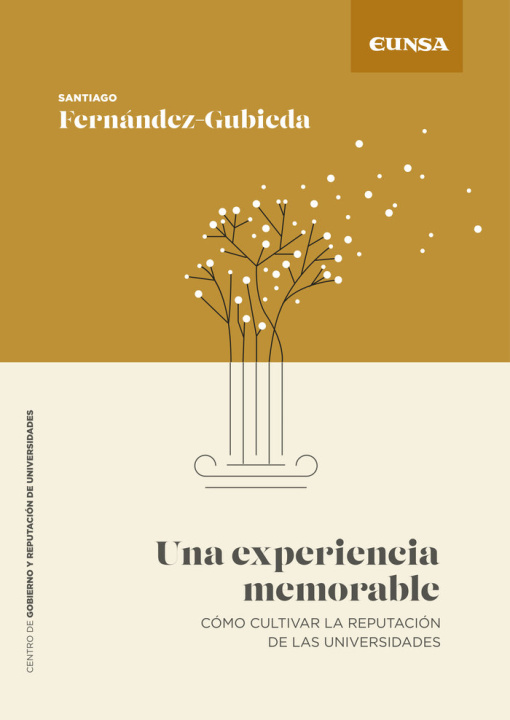 Libro UNA EXPERIENCIA MEMORABLE FERNANDEZ GUBIEDA