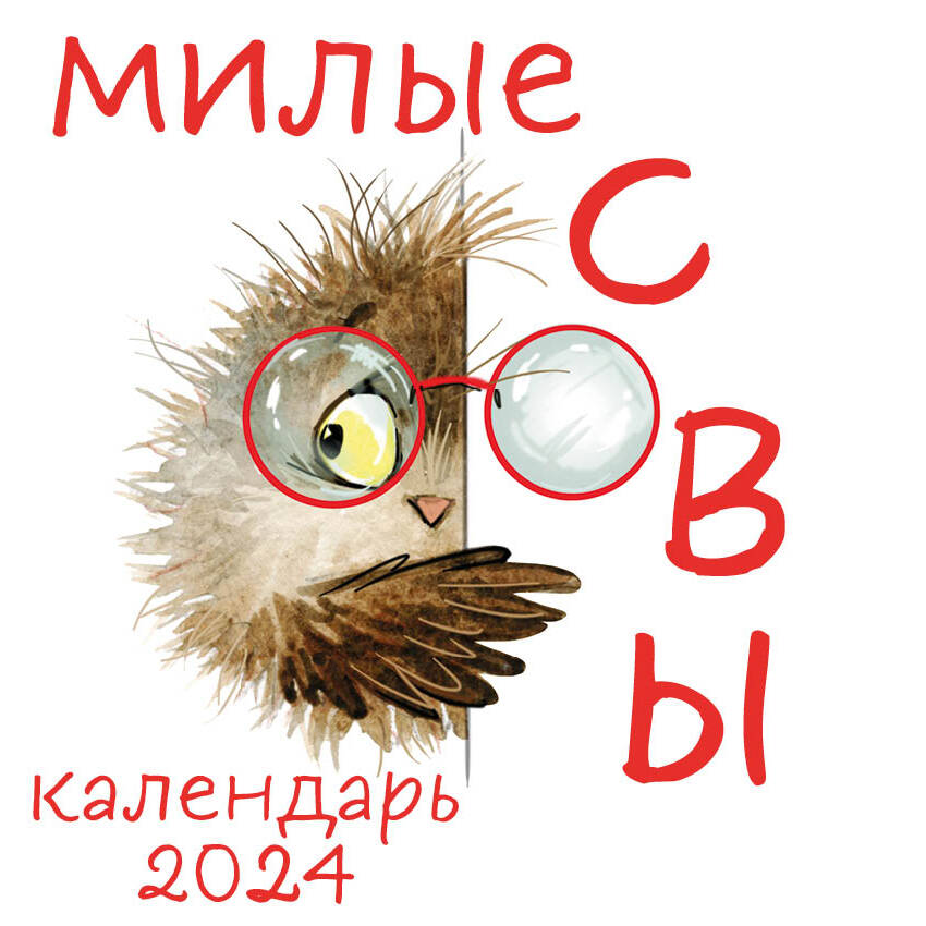 Könyv Милые совы. Календарь настенный на 2024 год (300х300 мм) 