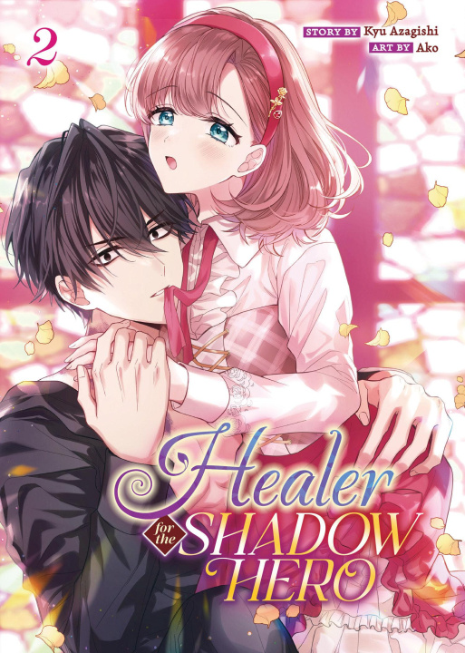 Libro HEALER FOR THE SHADOW HERO V02 V02