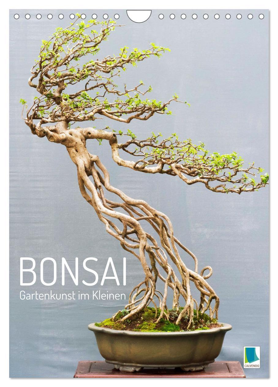 Kalendarz/Pamiętnik Bonsai: Gartenkunst im Kleinen (Wandkalender 2024 DIN A4 hoch), CALVENDO Monatskalender 