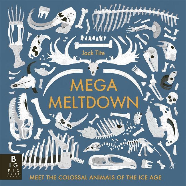 Book Mega Meltdown Jack Tite