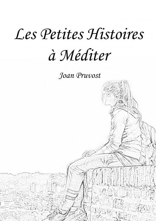Buch Les Petites Histoires à Méditer Pruvost