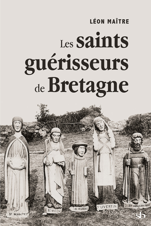 Книга Les saints guérisseurs de Bretagne Maître