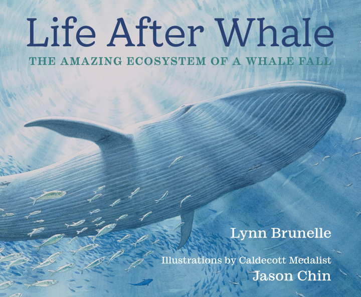 Książka Life After Whale: The Amazing Ecosystem of a Whale Fall Jason Chin