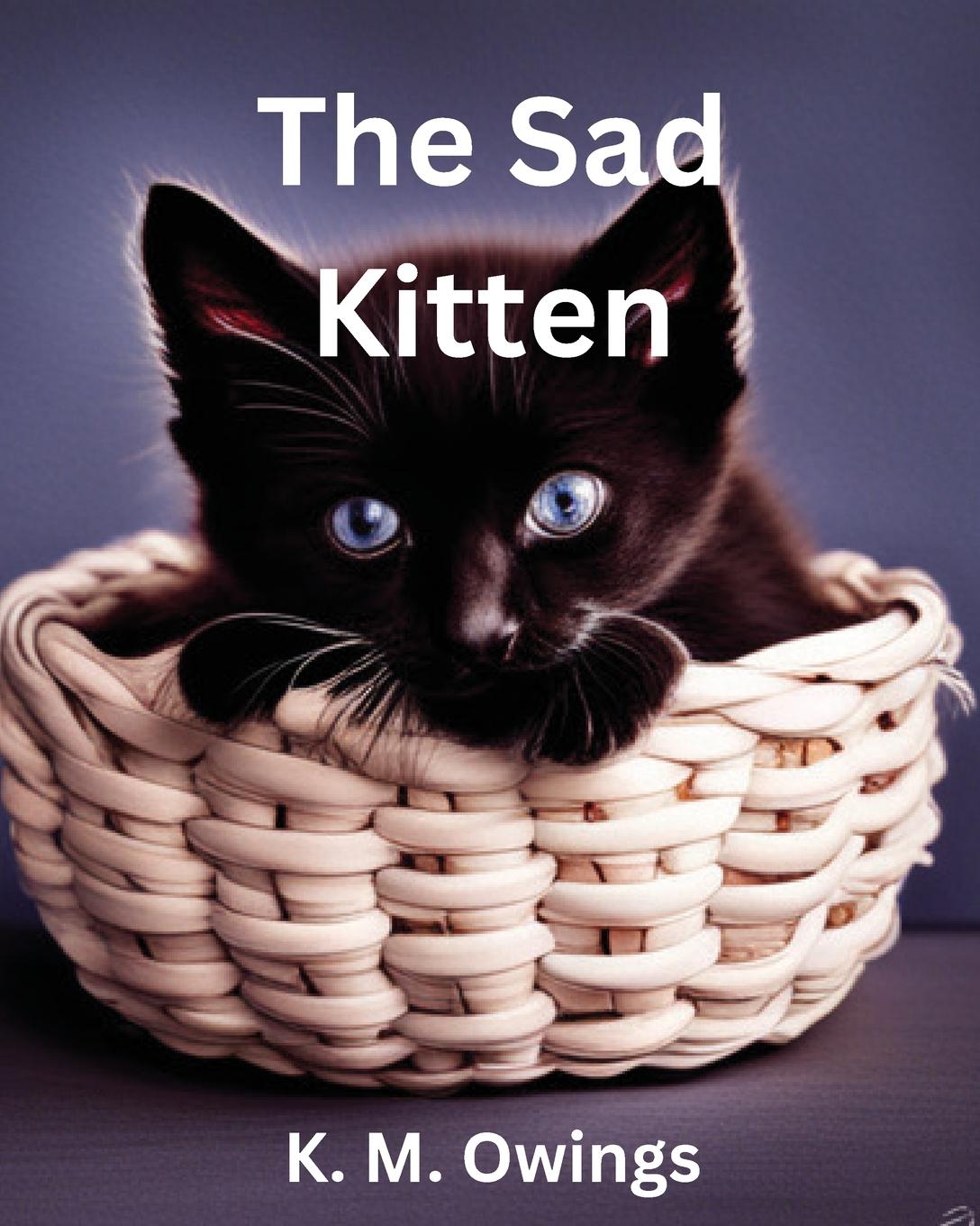 Boek The Sad Kitten K. M. Owings