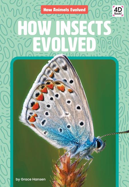Book How Insects Evolved 