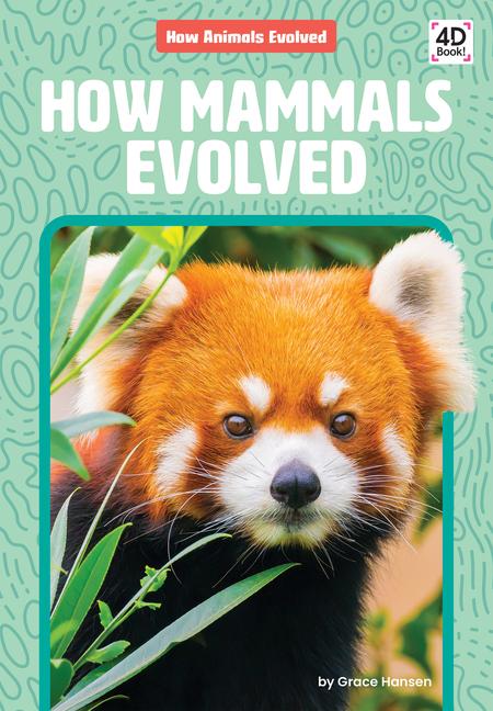 Kniha How Mammals Evolved 