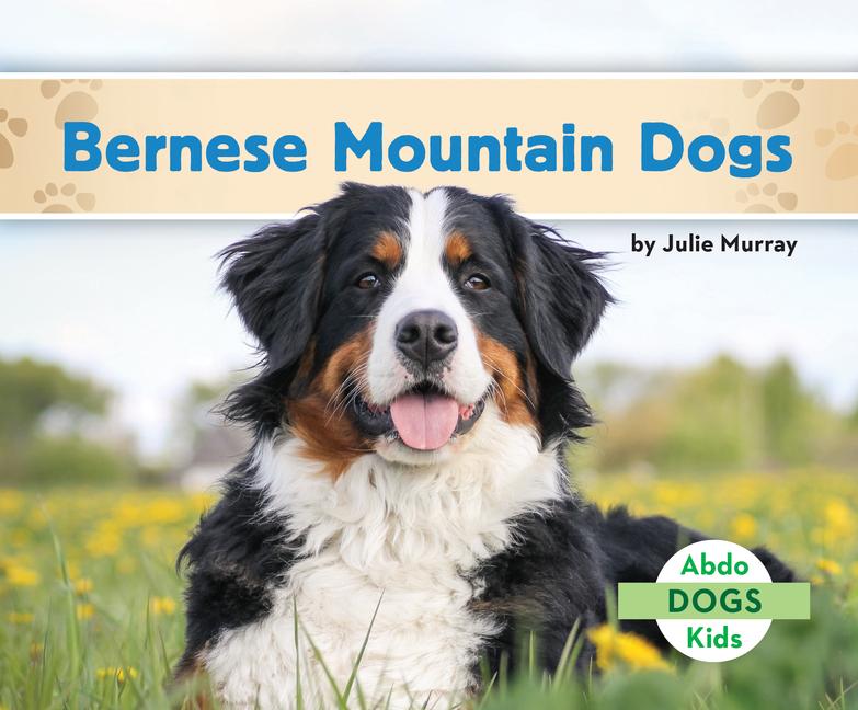 Carte Bernese Mountain Dogs 