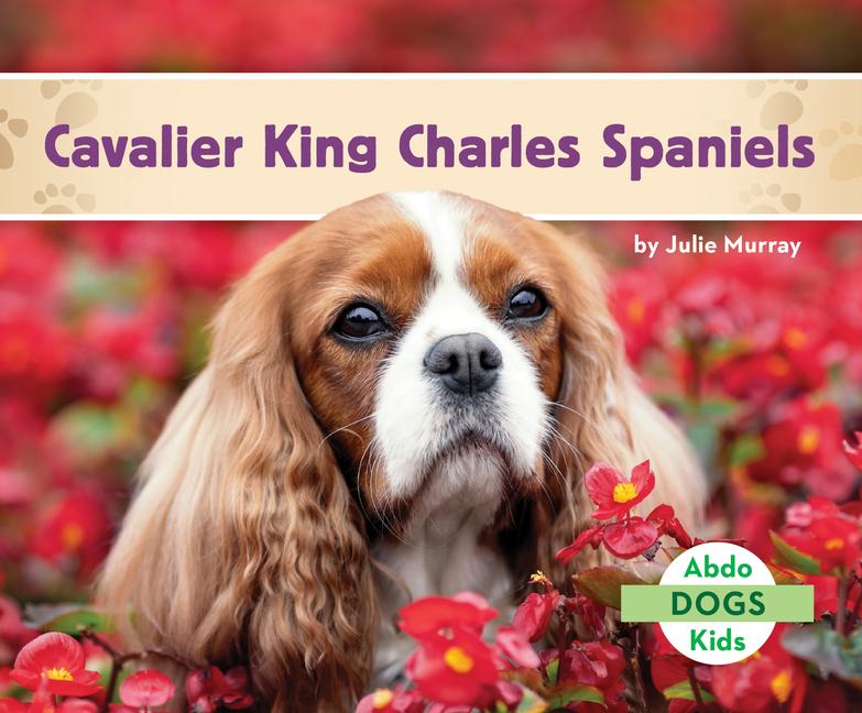 Книга Cavalier King Charles Spaniels 
