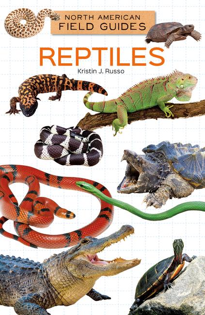 Kniha Reptiles 
