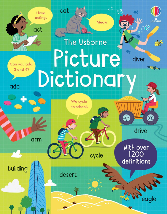 Buch Picture Dictionary Felicity Brooks