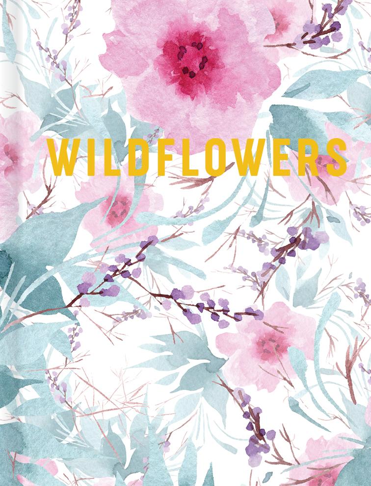 Book Wildflowers Reed New Holland Publishers