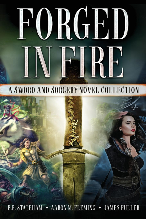 Kniha Forged in Fire B. R. Stateham