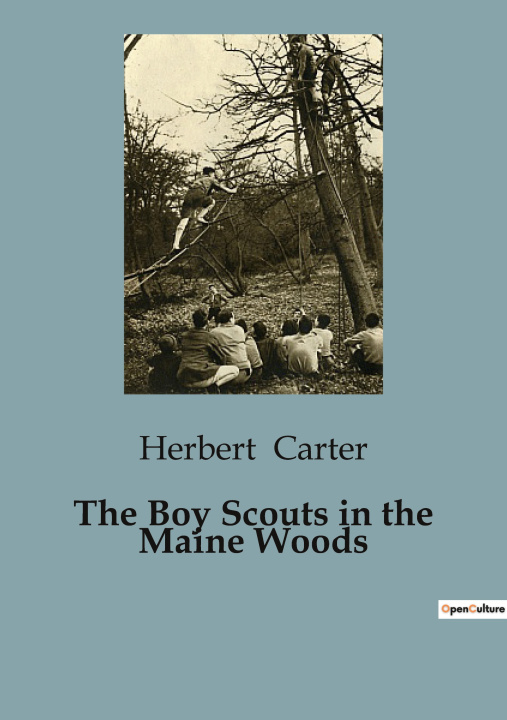 Knjiga The Boy Scouts in the Maine Woods Carter