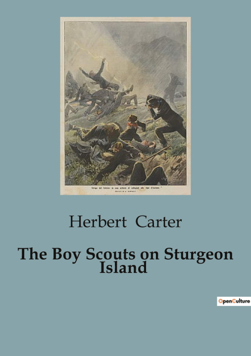 Knjiga The Boy Scouts on Sturgeon Island Carter