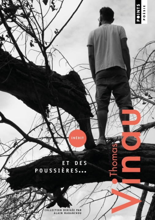 Βιβλίο Cent quarante particules de cendre et des poussières Thomas Vinau