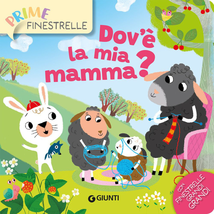 Book Dov'è la mia mamma? Silvia D'Achille