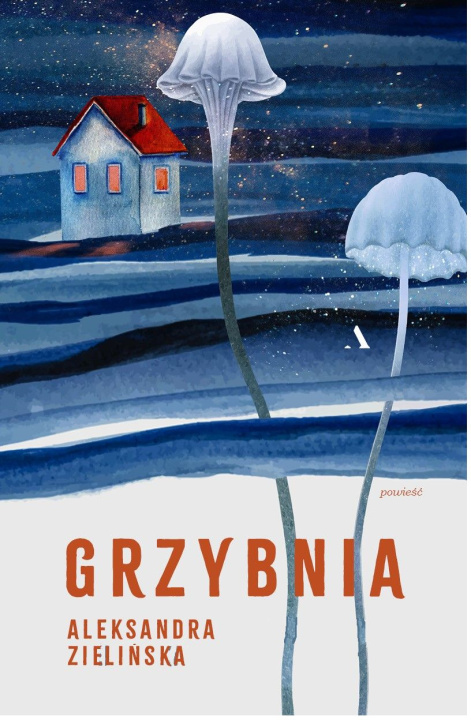 Könyv Grzybnia Aleksandra Zielińska