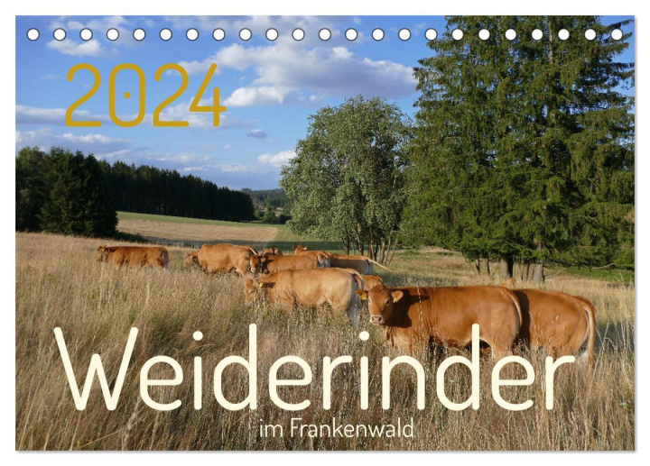 Calendar / Agendă Weiderinder im Frankenwald (Tischkalender 2024 DIN A5 quer), CALVENDO Monatskalender 