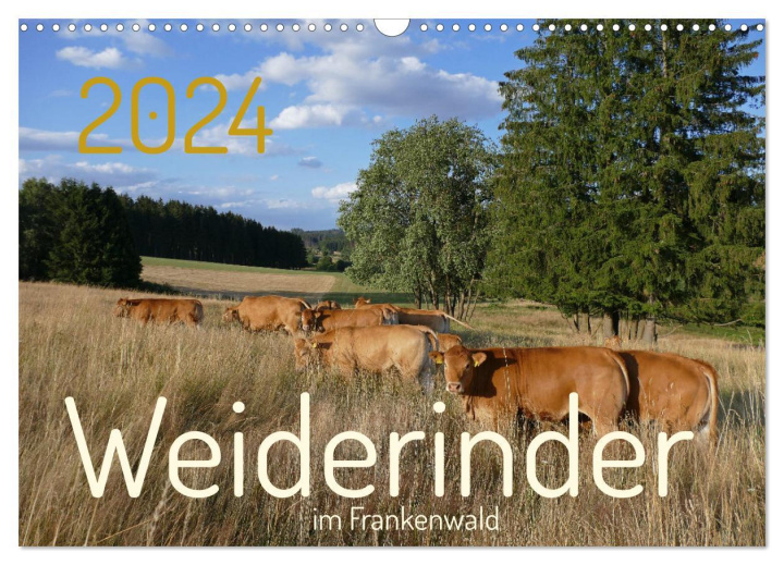 Календар/тефтер Weiderinder im Frankenwald (Wandkalender 2024 DIN A3 quer), CALVENDO Monatskalender 