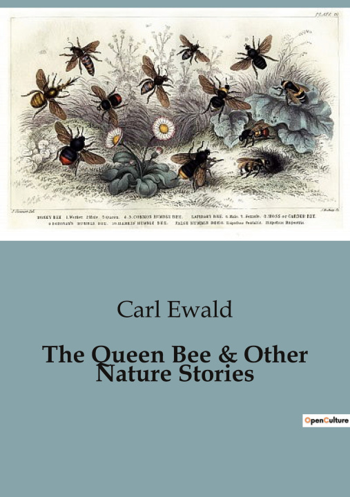 Knjiga The Queen Bee & Other Nature Stories Ewald