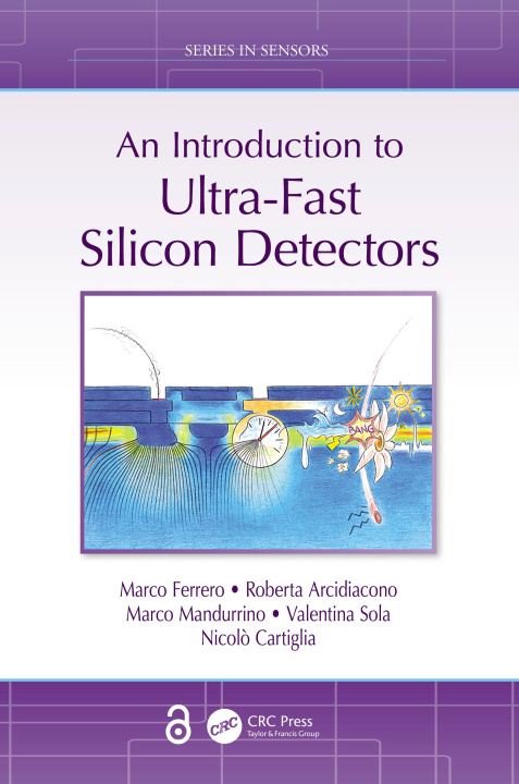 Kniha Introduction to Ultra-Fast Silicon Detectors Marco Ferrero