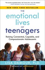 EMOTIONAL LIVES OF TEENAGERS
