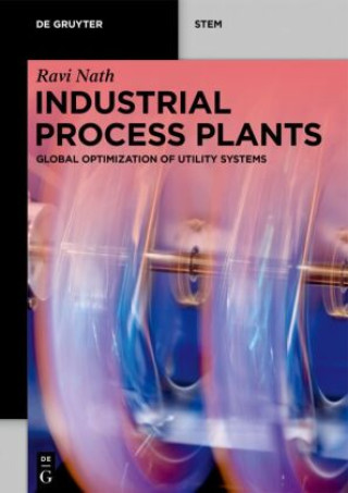 Kniha Industrial Process Plants Ravi Nath