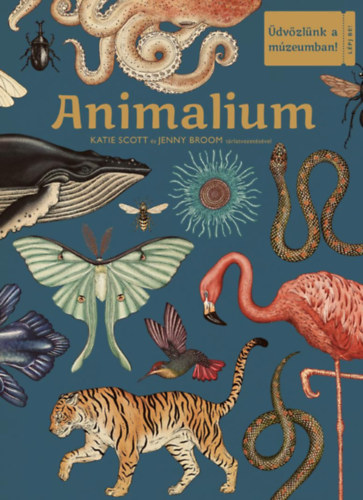Kniha Animalium - Üdvözlünk a múzeumban! Jenny Broom