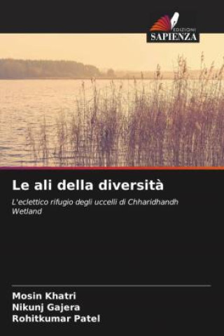 Buch Le ali della diversit? Nikunj Gajera