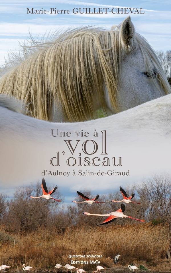 Knjiga Une vie à vol d'oiseau Guillet-Cheval