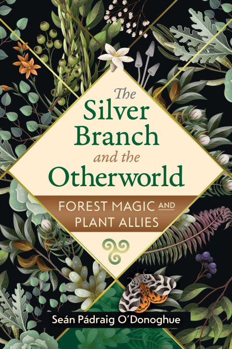 Book SILVER BRANCH & THE OTHERWORLD E02 ODONOGHUE SEAN PADRAIG