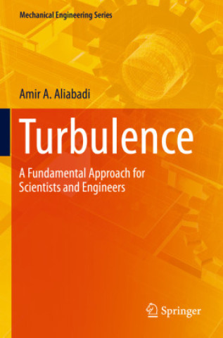 Knjiga Turbulence Amir A. Aliabadi