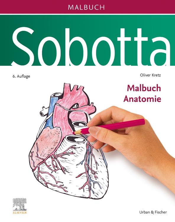 Książka Sobotta Malbuch Anatomie Holger Keller