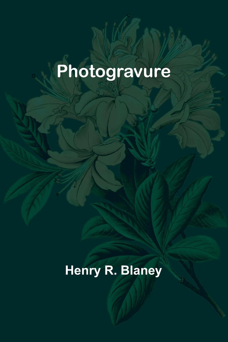 Knjiga Photogravure Henry R. Blaney