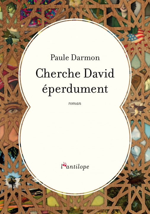 Book Cherche David éperdument Paule DARMON