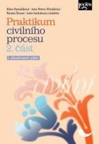 Kniha Praktikum civilního procesu 2. část 