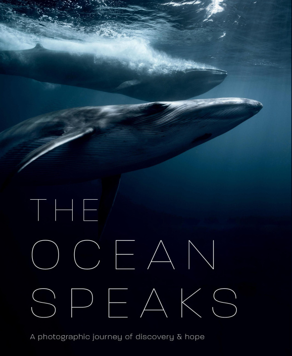 Βιβλίο The Ocean Speaks: A Photographic Journey of Discovery and Hope Tamsin Raine