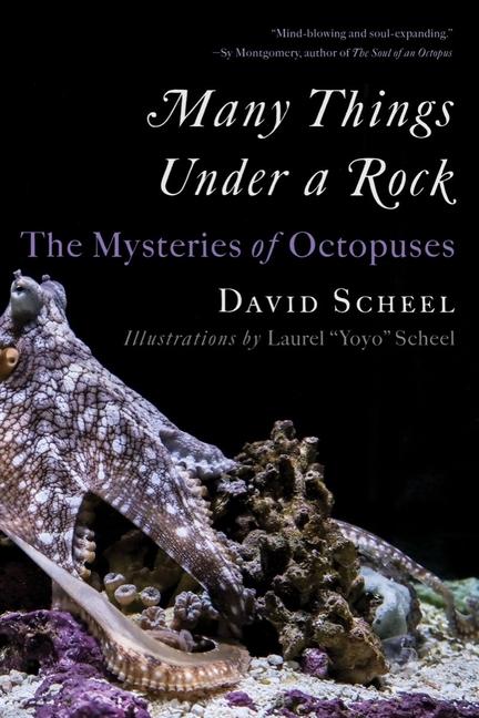 Kniha Many Things Under a Rock: The Mysteries of Octopuses 