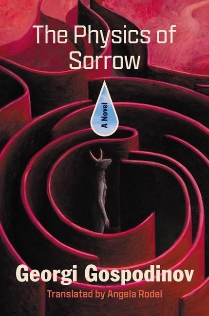 Kniha The Physics of Sorrow Angela Rodel