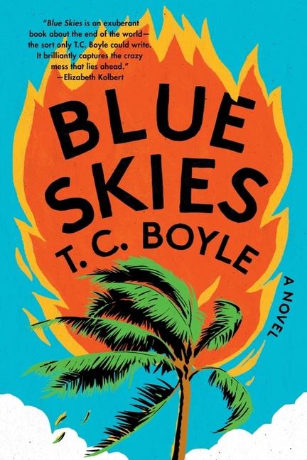 Knjiga Blue Skies Boyle