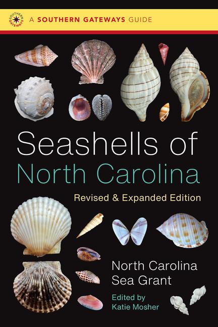 Kniha Seashells of North Carolina Katie Mosher