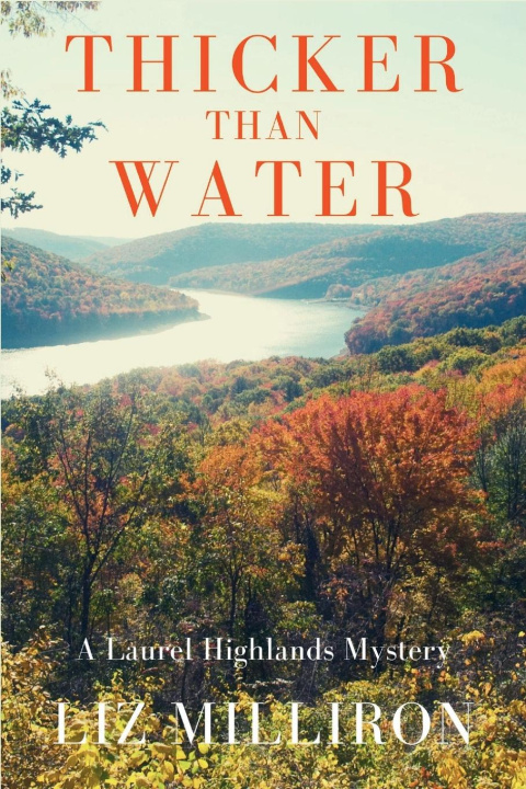Kniha Thicker Than Water Liz Milliron