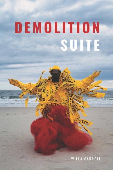 Buch Demolition Suite Willa Carroll