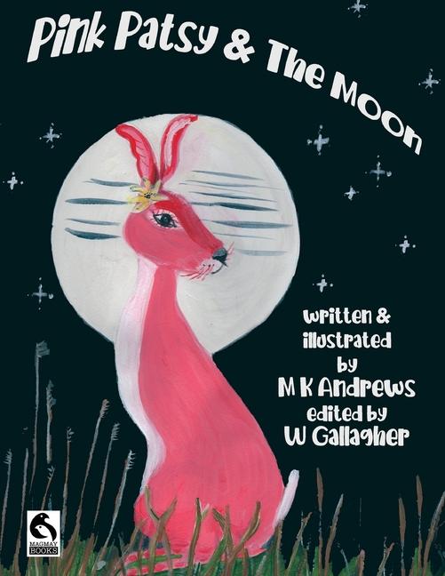 Knjiga Pink Patsy and the Moon Wendy Gallagher
