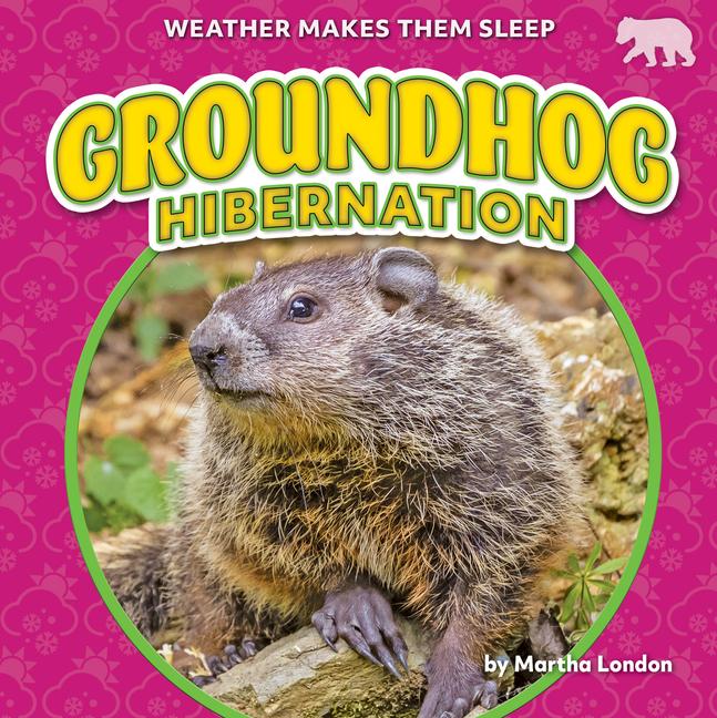 Boek Groundhog Hibernation 
